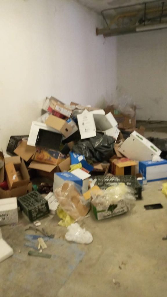 Rubbish Removal in Arabian Ranches