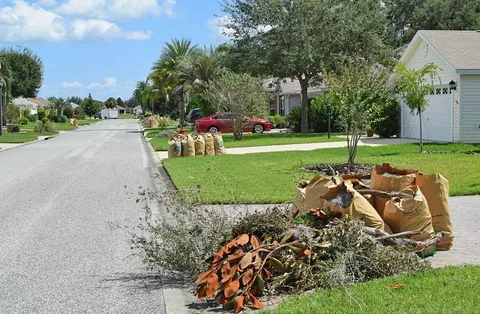 Garden Waste Removal In Motor City Dubai