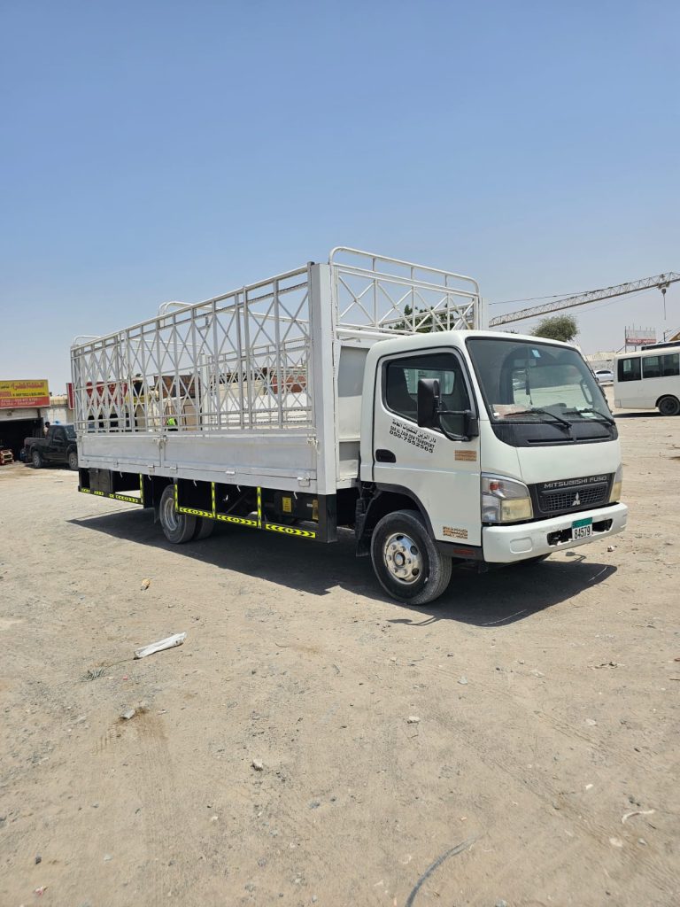 Moving Service in Dubai