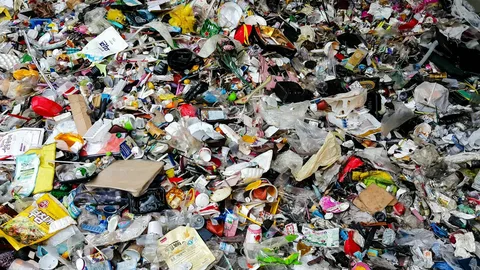 Trash Removal in Jabel Ali