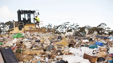 Waste Removal in Dubai Marina